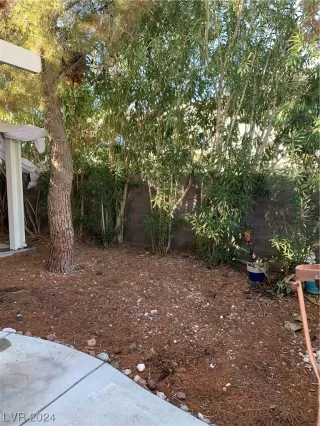 Photo #3: 2559970 Listing 