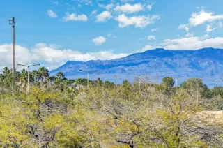 Photo #3: 2561382 Listing