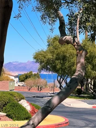 Photo #2: 2572361 Listing