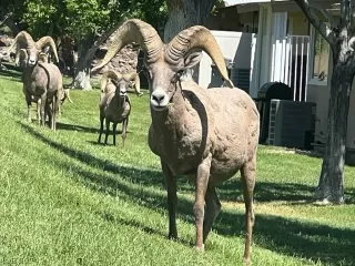 Photo #1: 2574356 Listing