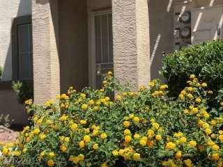 Photo #1: 2579947 Listing 