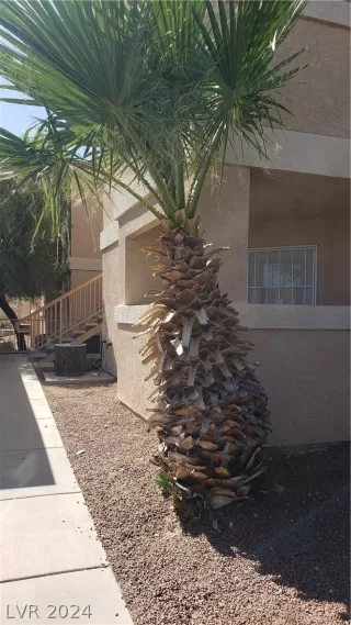 Photo #4: 2580084 Listing 