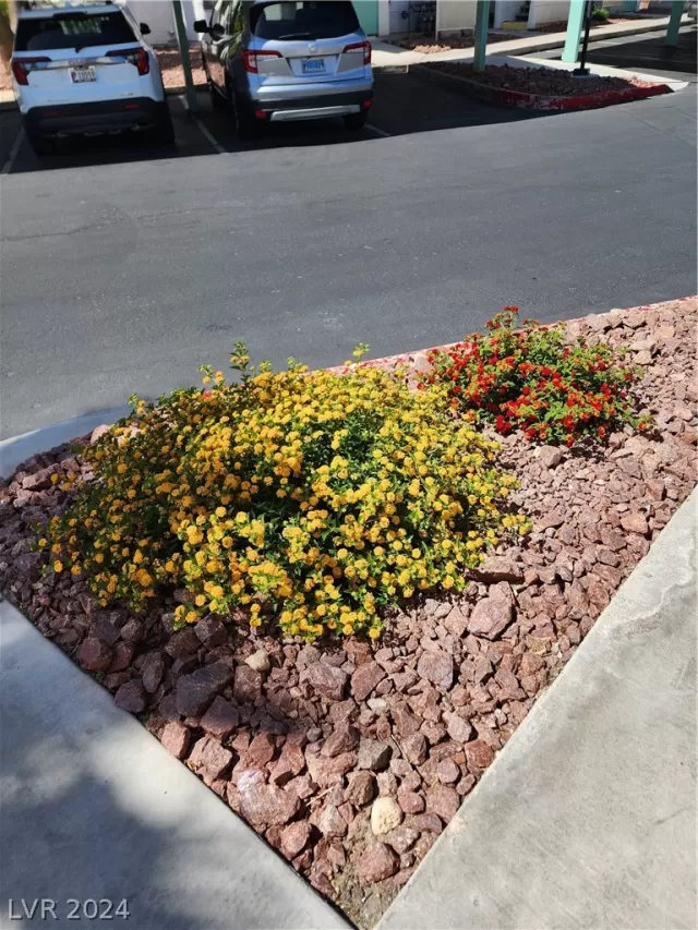 MLS: 2581133 Condo For Sale