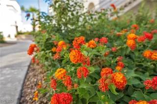 Photo #3: 2627268 Listing