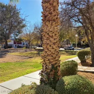 Photo #3: 2639556 Listing 