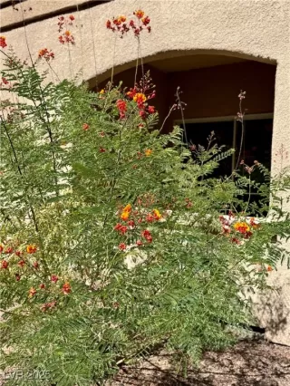 Photo #1: 2649378 Listing