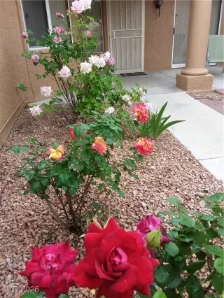 Photo #3: 2651485 Listing 