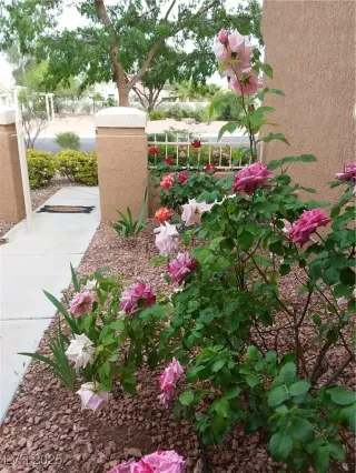 Photo #4: 2651485 Listing 