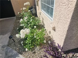 Photo #1: 2680549 Listing 