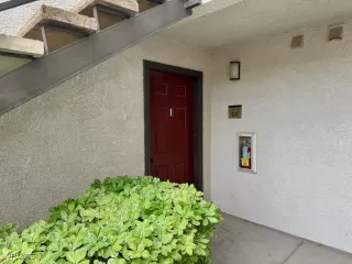 Photo #1: 2680844 Listing 