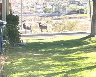 Photo #3: 2688386 Listing