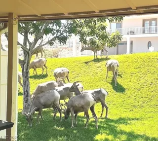 Photo #5: 2688386 Listing