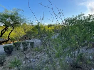 Photo #1: 2702174 Listing 