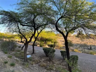 Photo #2: 2702174 Listing 