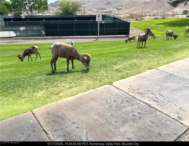 MLS: 2702722 Condo For Sale