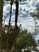 Primary Photo for MLS#: 2712295