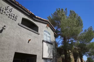 Photo #3: 2717236 Listing