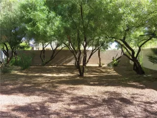 Photo #5: 2727583 Listing