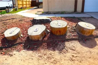 Photo #1: 2758159 Listing 