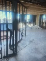 Primary Photo for MLS#: 2763398