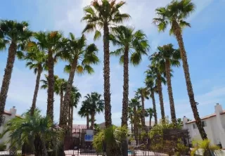 Photo #4: 2764942 Listing 