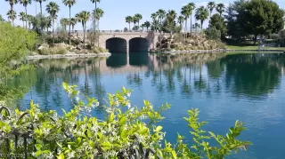 Primary Photo for MLS#: 2773272