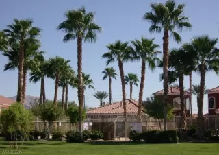 Photo #3: 2788074 Listing