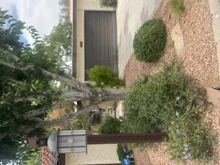 Photo #1: 2789659 Listing