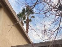 More Details about MLS # 2318301 : 504 CINDERTREE LANE