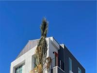 More Details about MLS # 2346669 : 2868 ORANGE KEY 1