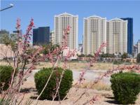Primary Photo for MLS#: 2392062