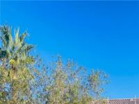 More Details about MLS # 2446461 : 9752 GLITTERING STAR AVENUE