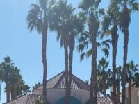 More Details about MLS # 2466605 : 5000 RED ROCK STREET 238