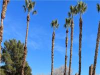 Primary Photo for MLS#: 2471474