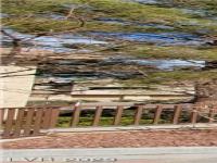 Primary Photo for MLS#: 2475873