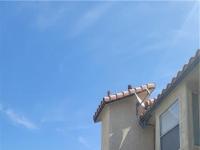 More Details about MLS # 2485502 : 3602 GAYLORD DRIVE 149