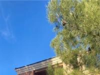 More Details about MLS # 2486133 : 1404 KILAMANJARO LANE 203
