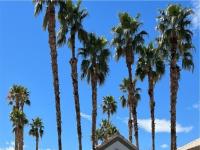 More Details about MLS # 2490757 : 6908 INDIAN CHIEF DRIVE 202