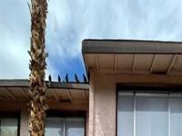 More Details about MLS # 2492955 : 4363 SPENCER STREET 8