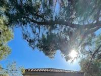 Primary Photo for MLS#: 2496162