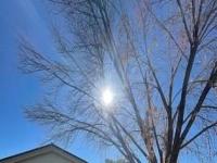 Primary Photo for MLS#: 2497629