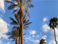 More Details about MLS # 2500232 : 1881 WEST ALEXANDER ROAD 1079