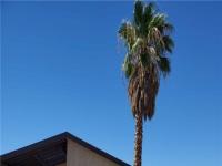 More Details about MLS # 2523616 : 4904 DANBROOK COURT