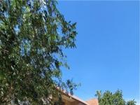 Primary Photo for MLS#: 2527239