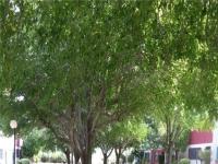 More Details about MLS # 2527565 : 546 GREENBRIAR TOWNHOUSE WAY