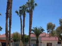 Primary Photo for MLS#: 2531477