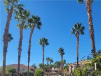 More Details about MLS # 2532728 : 10524 PINE GARDENS COURT 106