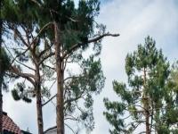 More Details about MLS # 2538083 : 4050 PACIFIC HARBORS DRIVE 139