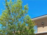 More Details about MLS # 2577258 : 820 PEACHY CANYON CIRCLE 203