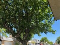 More Details about MLS # 2681401 : 3831 ATLANTIS STREET
